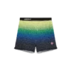 Gradient Shorts Gradient Shorts