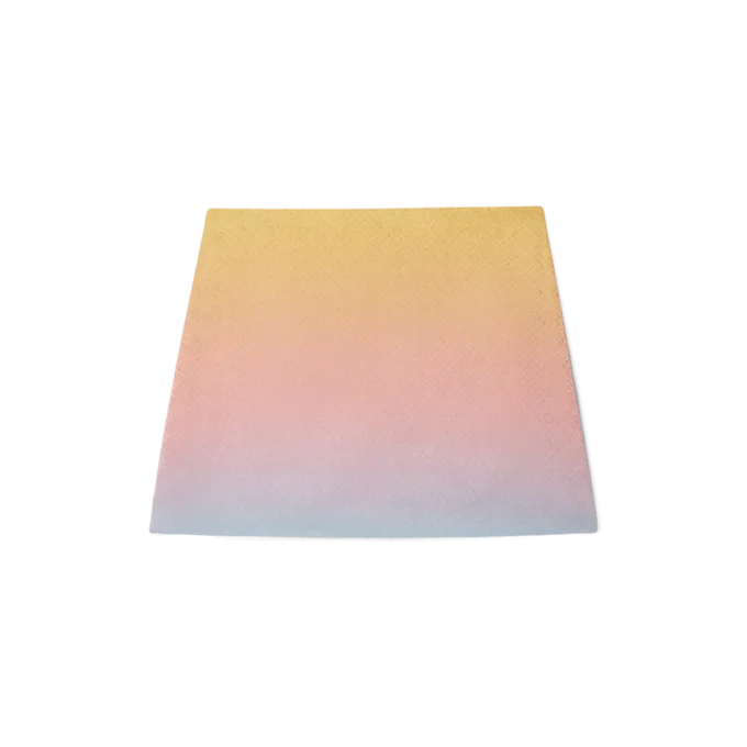 Ping Pong Gradient Silk Skirt Ping Pong Gradient Silk Skirt