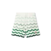 Wavy Gradient Crochet Shorts Wavy Gradient Crochet Shorts